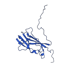 13345_7pe2_LE_v1-1
Cryo-EM structure of BMV-derived VLP expressed in E. coli (eVLP)