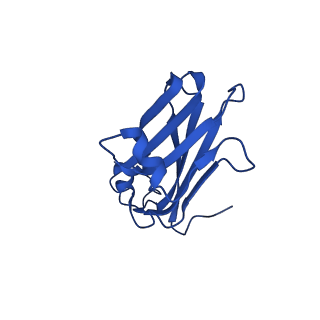 13345_7pe2_MB_v1-1
Cryo-EM structure of BMV-derived VLP expressed in E. coli (eVLP)