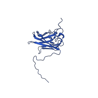 13345_7pe2_MC_v1-1
Cryo-EM structure of BMV-derived VLP expressed in E. coli (eVLP)