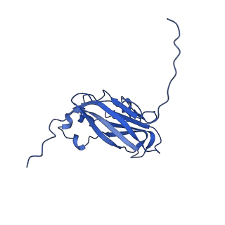13345_7pe2_MD_v1-1
Cryo-EM structure of BMV-derived VLP expressed in E. coli (eVLP)