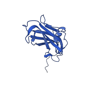 13345_7pe2_M_v1-1
Cryo-EM structure of BMV-derived VLP expressed in E. coli (eVLP)