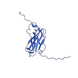 13345_7pe2_NA_v1-1
Cryo-EM structure of BMV-derived VLP expressed in E. coli (eVLP)
