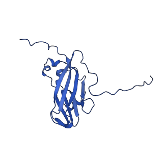13345_7pe2_NE_v1-1
Cryo-EM structure of BMV-derived VLP expressed in E. coli (eVLP)