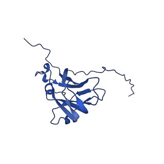 13345_7pe2_N_v1-1
Cryo-EM structure of BMV-derived VLP expressed in E. coli (eVLP)