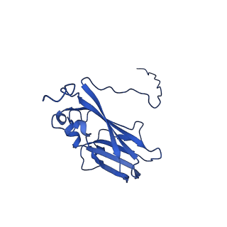 13345_7pe2_OC_v1-1
Cryo-EM structure of BMV-derived VLP expressed in E. coli (eVLP)