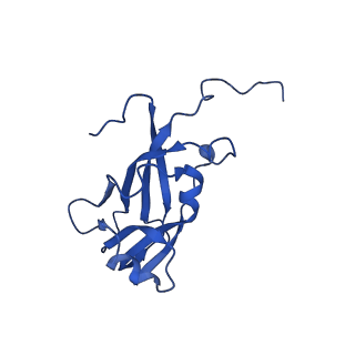 13345_7pe2_OD_v1-1
Cryo-EM structure of BMV-derived VLP expressed in E. coli (eVLP)