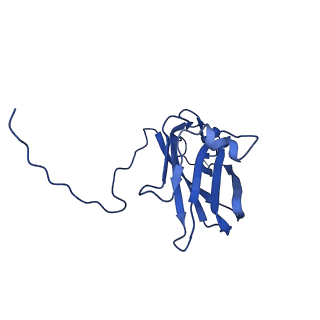 13345_7pe2_OF_v1-1
Cryo-EM structure of BMV-derived VLP expressed in E. coli (eVLP)