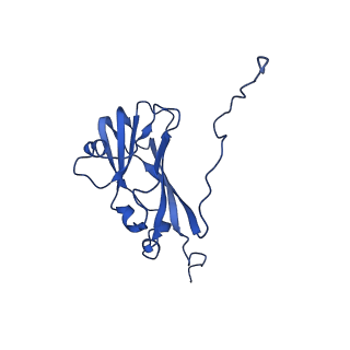 13345_7pe2_PA_v1-1
Cryo-EM structure of BMV-derived VLP expressed in E. coli (eVLP)