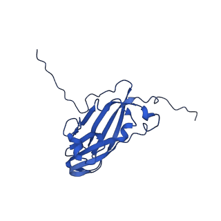 13345_7pe2_PC_v1-1
Cryo-EM structure of BMV-derived VLP expressed in E. coli (eVLP)