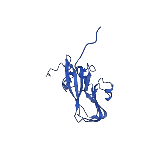 13345_7pe2_PD_v1-1
Cryo-EM structure of BMV-derived VLP expressed in E. coli (eVLP)
