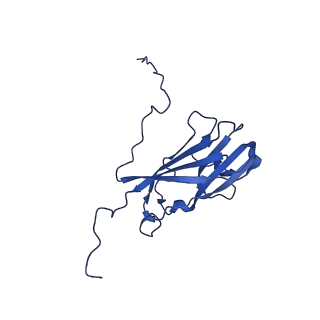 13345_7pe2_PF_v1-1
Cryo-EM structure of BMV-derived VLP expressed in E. coli (eVLP)