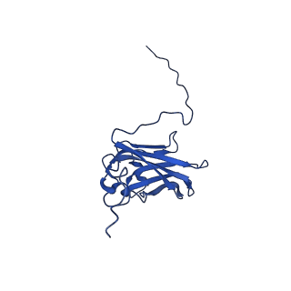 13345_7pe2_QD_v1-1
Cryo-EM structure of BMV-derived VLP expressed in E. coli (eVLP)