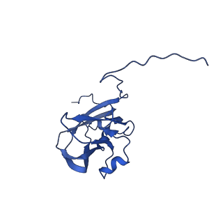 13345_7pe2_QE_v1-1
Cryo-EM structure of BMV-derived VLP expressed in E. coli (eVLP)