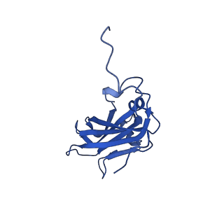 13345_7pe2_RA_v1-1
Cryo-EM structure of BMV-derived VLP expressed in E. coli (eVLP)