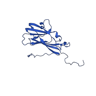 13345_7pe2_RB_v1-1
Cryo-EM structure of BMV-derived VLP expressed in E. coli (eVLP)