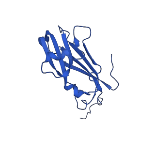 13345_7pe2_RD_v1-1
Cryo-EM structure of BMV-derived VLP expressed in E. coli (eVLP)