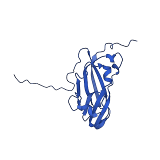13345_7pe2_RF_v1-1
Cryo-EM structure of BMV-derived VLP expressed in E. coli (eVLP)