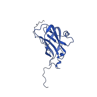 13345_7pe2_R_v1-1
Cryo-EM structure of BMV-derived VLP expressed in E. coli (eVLP)