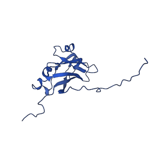 13345_7pe2_SA_v1-1
Cryo-EM structure of BMV-derived VLP expressed in E. coli (eVLP)