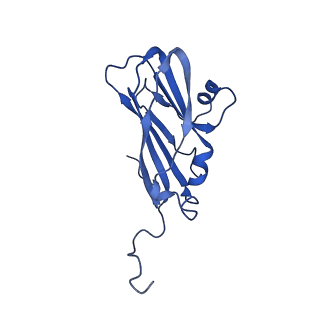 13345_7pe2_SB_v1-1
Cryo-EM structure of BMV-derived VLP expressed in E. coli (eVLP)