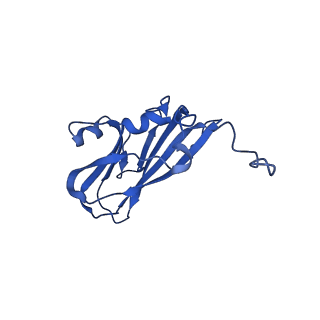 13345_7pe2_SE_v1-1
Cryo-EM structure of BMV-derived VLP expressed in E. coli (eVLP)