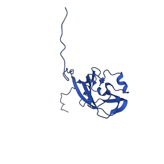 13345_7pe2_SF_v1-1
Cryo-EM structure of BMV-derived VLP expressed in E. coli (eVLP)