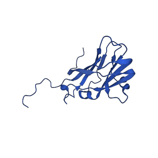 13345_7pe2_S_v1-1
Cryo-EM structure of BMV-derived VLP expressed in E. coli (eVLP)