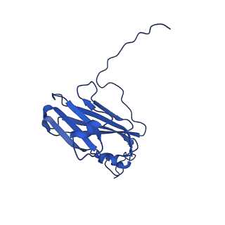 13345_7pe2_TE_v1-1
Cryo-EM structure of BMV-derived VLP expressed in E. coli (eVLP)