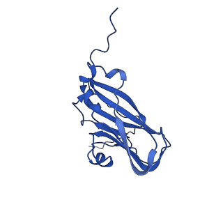 13345_7pe2_T_v1-1
Cryo-EM structure of BMV-derived VLP expressed in E. coli (eVLP)