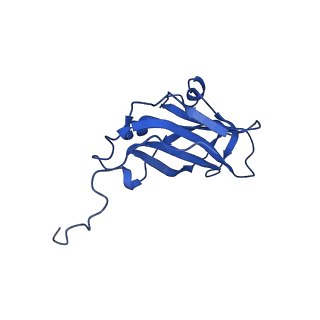 13345_7pe2_UA_v1-1
Cryo-EM structure of BMV-derived VLP expressed in E. coli (eVLP)