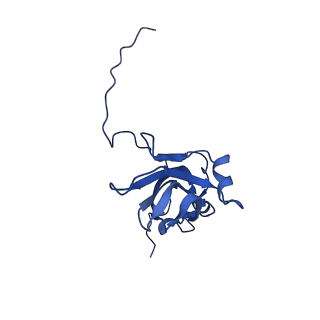 13345_7pe2_UC_v1-1
Cryo-EM structure of BMV-derived VLP expressed in E. coli (eVLP)