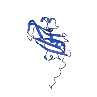 13345_7pe2_UD_v1-1
Cryo-EM structure of BMV-derived VLP expressed in E. coli (eVLP)