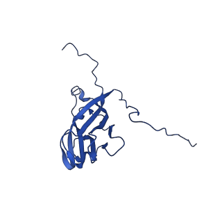 13345_7pe2_UE_v1-1
Cryo-EM structure of BMV-derived VLP expressed in E. coli (eVLP)