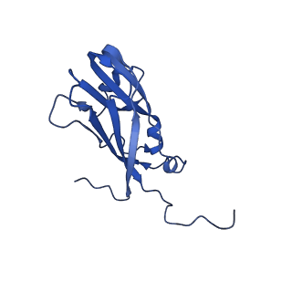 13345_7pe2_VB_v1-1
Cryo-EM structure of BMV-derived VLP expressed in E. coli (eVLP)