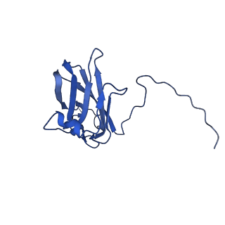 13345_7pe2_VD_v1-1
Cryo-EM structure of BMV-derived VLP expressed in E. coli (eVLP)