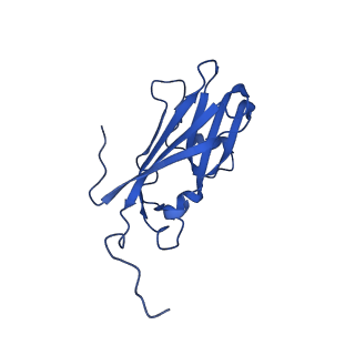 13345_7pe2_VE_v1-1
Cryo-EM structure of BMV-derived VLP expressed in E. coli (eVLP)
