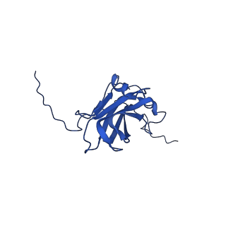 13345_7pe2_V_v1-1
Cryo-EM structure of BMV-derived VLP expressed in E. coli (eVLP)