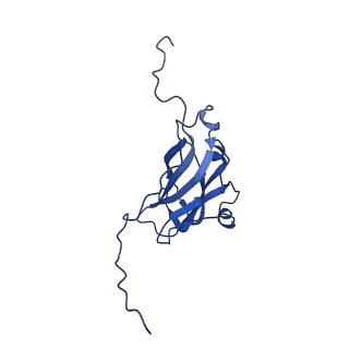 13345_7pe2_WA_v1-1
Cryo-EM structure of BMV-derived VLP expressed in E. coli (eVLP)