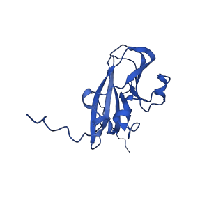 13345_7pe2_WB_v1-1
Cryo-EM structure of BMV-derived VLP expressed in E. coli (eVLP)