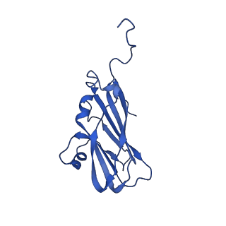 13345_7pe2_WC_v1-1
Cryo-EM structure of BMV-derived VLP expressed in E. coli (eVLP)