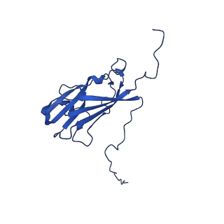 13345_7pe2_WD_v1-1
Cryo-EM structure of BMV-derived VLP expressed in E. coli (eVLP)