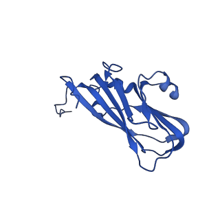 13345_7pe2_WF_v1-1
Cryo-EM structure of BMV-derived VLP expressed in E. coli (eVLP)