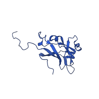 13345_7pe2_XA_v1-1
Cryo-EM structure of BMV-derived VLP expressed in E. coli (eVLP)