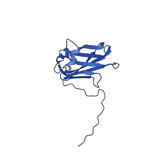 13345_7pe2_XB_v1-1
Cryo-EM structure of BMV-derived VLP expressed in E. coli (eVLP)