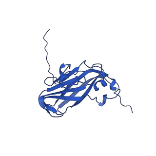 13345_7pe2_XC_v1-1
Cryo-EM structure of BMV-derived VLP expressed in E. coli (eVLP)