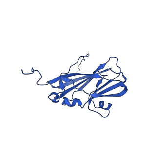 13345_7pe2_X_v1-1
Cryo-EM structure of BMV-derived VLP expressed in E. coli (eVLP)