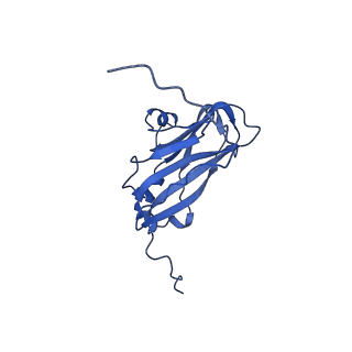 13345_7pe2_YA_v1-1
Cryo-EM structure of BMV-derived VLP expressed in E. coli (eVLP)