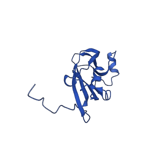 13345_7pe2_YB_v1-1
Cryo-EM structure of BMV-derived VLP expressed in E. coli (eVLP)
