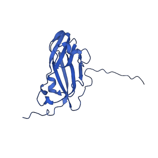 13345_7pe2_YD_v1-1
Cryo-EM structure of BMV-derived VLP expressed in E. coli (eVLP)