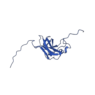 13345_7pe2_ZA_v1-1
Cryo-EM structure of BMV-derived VLP expressed in E. coli (eVLP)